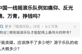一线乐队痛仰、反光镜、万青，挣钱吗？图片