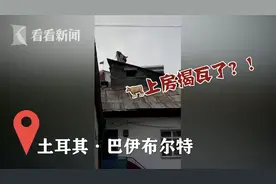 趣观世界|疫情让世界变成疯狂动物城，牛上房，鼠上街，袋鼠压路图片