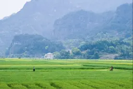 土地亩数计算方法图片