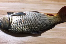 原来烧鱼有窍门，加1罐啤酒，锅里一扔，不破皮不粘锅，鱼肉鲜嫩视频封面