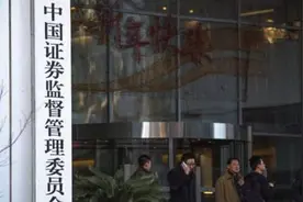 刚审计完九阳股份、长盈精密2019年报，天健会计师事务所即遭证监会警示：因两科创板企业IPO信披不实图片