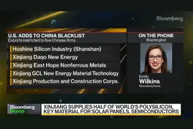 突发！合盛等五家企业被美国列入限制进口黑名单图片