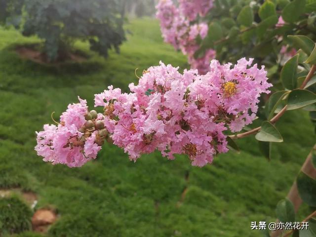 曾国藩:堂堂正正做人,做一个光明磊落的人
