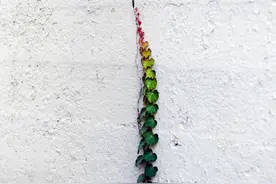 摄影师拍下纽约街头各种美丽的巧合，日常生活也有小小的奇迹图片