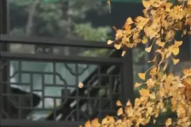 恢复开放！西安各景区场馆防疫新规汇总→图片