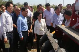 省农业农村厅厅长孙矿玲来合调研农业农村重点工作图片