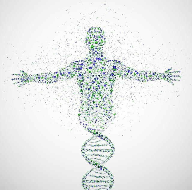 最值得抄底的医药赛道之王，机构齐刷刷动手了：药明生物 爱美克