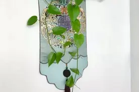 养绿萝，该如何规避黑腐化水病？尊重4点，藤蔓嗖嗖爬满墙图片