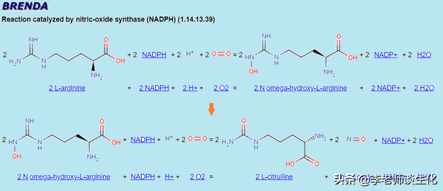 氨基酸衍生物代谢（二）
