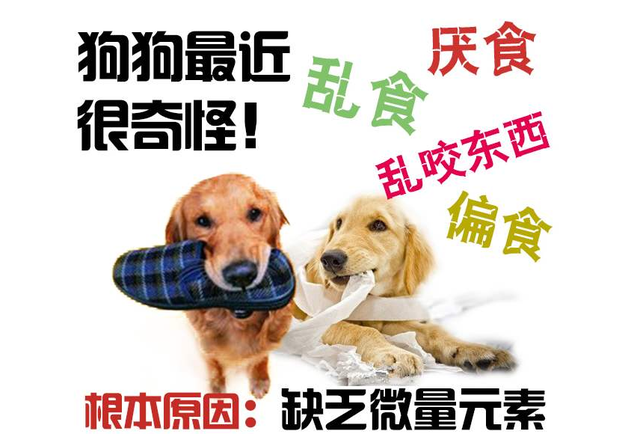 狗狗微量元素哪个牌子好？