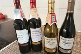 酒姑娘的2020 波尔多 同一酒庄的姐妹款 Roche Mazet图片