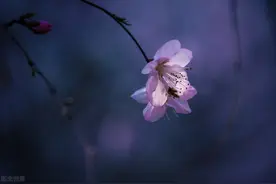 有钱的人，之所以小气，是有原因的图片