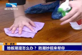地板潮湿怎么办？防潮妙招来帮你视频封面