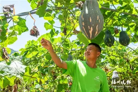 福州这位“有机农人”厉害了图片