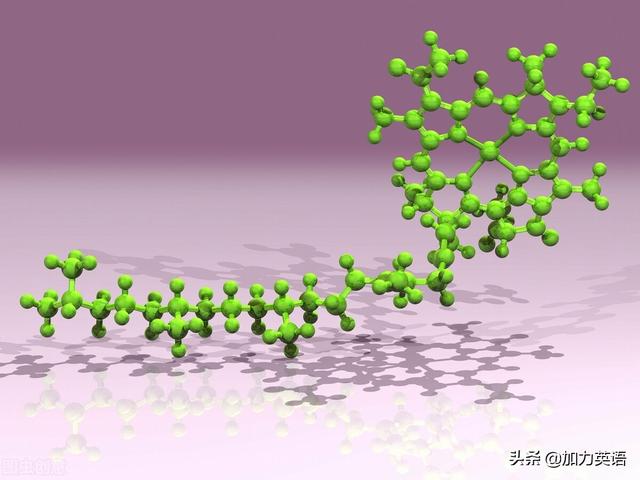 中考英语美文阅读100篇：网上购物和线下代购