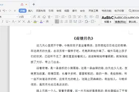 职场办公—Word 文档怎么预览和打印图片