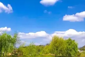 我和新市长之间不为人知的故事图片