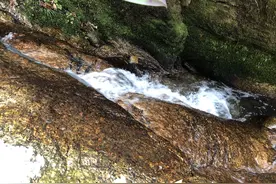 清澈见底的山村小溪图片
