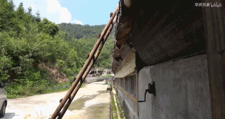 日本电影鸡皮疙瘩百度云资源