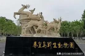 定了！秦皇岛野生动物园7月15日开园，还有精彩的动物表演！图片