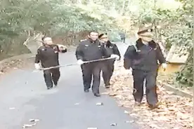 城管：2条腿的人跑不过4条腿的狗 宠物狗不想养可送到宠物收容所