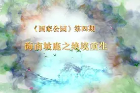 《国家公园》第四期：海南坡鹿之绝境重生图片
