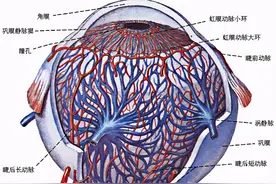 眼中风？后果知多少？图片