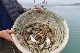 馋不馋？休渔期前最后一波海鲜！周末大量到货，渔码头逛起来…图片