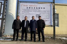 淘淘好车跨界大手笔，签500亩黑龙江五常国际金奖大米直销全国图片