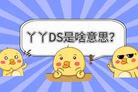 zqsg，这些拼音缩写到底啥意思图片