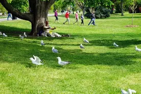 往事不回头，余生好好走！（深度好文）图片