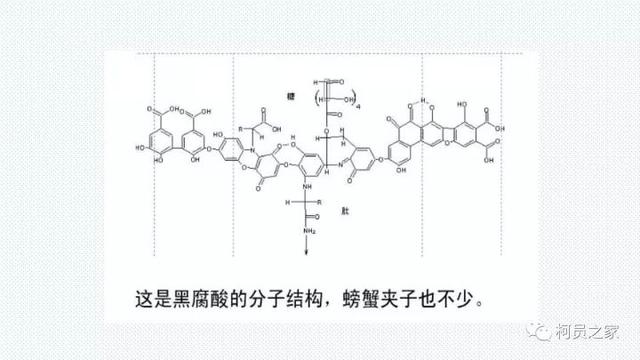 氨基酸、腐殖酸、黄腐酸都是什么东东？有啥用？