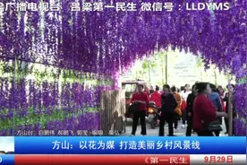 方山：以花为媒 打造美丽乡村风景线《走进乡村看小康》图片