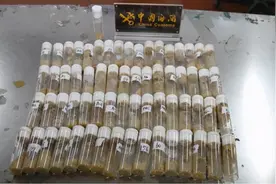 警惕生物战！海关截获美国包裹，7000只黑腹果蝇恐成为果农噩梦图片