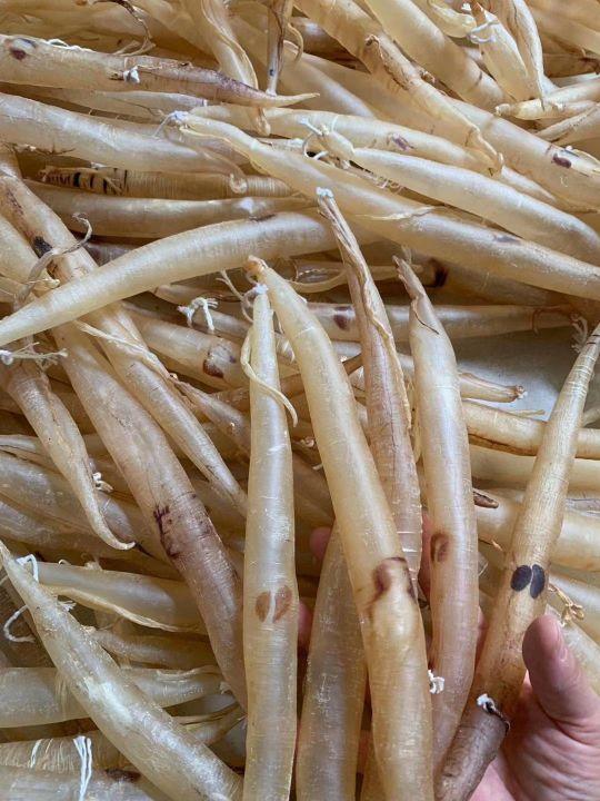 大花胶和小花胶的区别 2026年大花胶和小花胶的区别图片