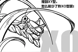 超纲了~决定生物性别的原来不只XY | 科学小馆儿图片