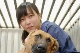 “最美兽医”简稚澄：结束上千条流浪狗的生命，她也选择了安乐死图片