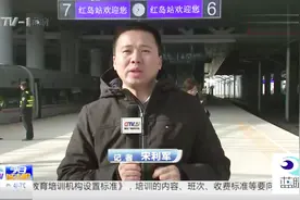 青岛速度！仅仅1小时23分，济南东站就可抵达红岛站视频封面