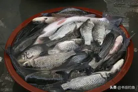 不要再单开蓝鲫了！简单几样工具稍作调整后，渔获多到抬不起来图片