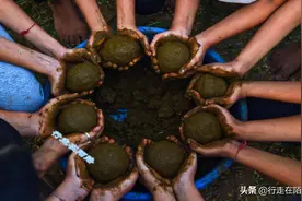 痴迷牛粪的印度人：过节用牛粪做餐具，洗牛粪浴、打牛粪战图片
