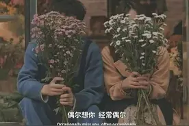 如何用最温柔的方式，表达我想你了？图片