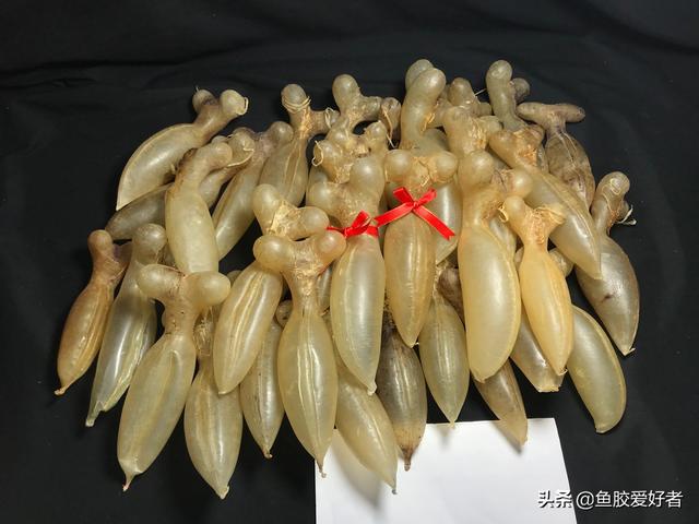 蜘蛛鱼胶图片价格 蜘蛛鱼胶功效作用