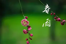 细雨叩窗春呢喃图片