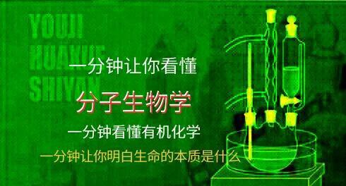 《宇宙的秘密全部揭开（二十四）分子生物学》
