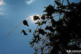 离婚后，发现前妻过得不好，你会心疼吗？5个离婚男人说大实话图片