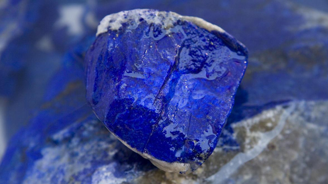 蓝色的食物有哪些，蓝色食物（对一部分人有帮助）