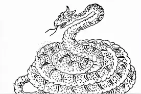 中国的妖怪《山海经》图片