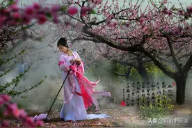 “艺术家”是“美术家”吗？区别在哪里？图片