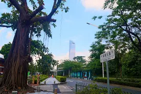 中国哪个城市没有农村？城镇化率100%，几乎没有农业图片