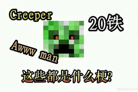 在我的世界玩梗，你不得不承认的11个事实！一开口就是老mc了图片